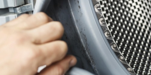 Mold Allergy: Causes, Symptoms, Treatment And Prevention